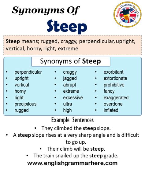 steepest synonym